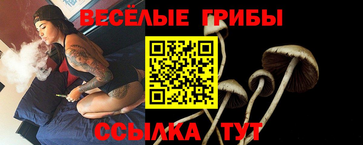 Псилоцибиновые грибы Cubensis  Вход с VPN  Александров  Псилоцибиновые грибы Cubensis 